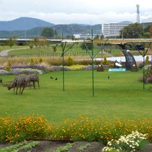 よく手入れされた園内～