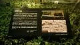 北町奉行所が建っていた場所