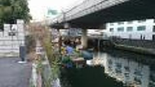 江戸城大手門から浅草に通じる橋