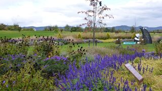 素晴らしいまちなかオアシス　～　あさひかわ北彩都ガーデン