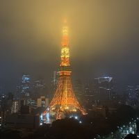 霧がかかって幻想的な東京タワー