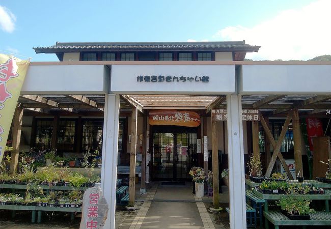 作東吉野きんちゃい館