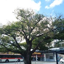 湯河原駅前観光案内所 