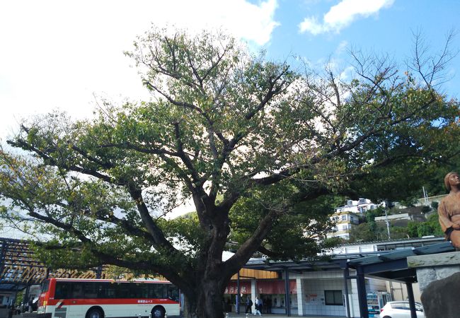 湯河原駅前観光案内所 クチコミ アクセス 営業時間 湯河原温泉 フォートラベル 湯河原駅前観光案内所 クチコミ アクセス 営業時間 湯河原温泉 フォートラベル