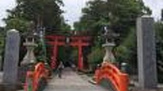 朱塗りの美しい神社　樹齢1000年梛（なぎ）の樹