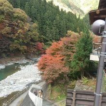 荒川への散策路