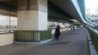 隅田川大橋　首都高が屋根がわり