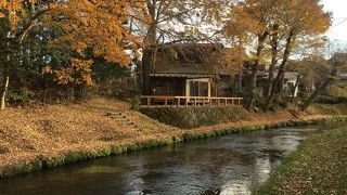 美味しい湧き水が飲めます