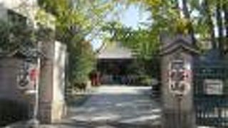 歴史的に貴重なものが残っています