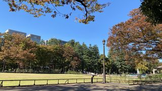 のんびりするのに丁度いい公園