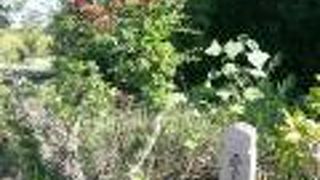 唐招提寺に行く際に