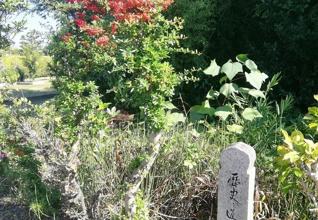 唐招提寺に行く際に