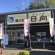 道の駅日向でネギを買う