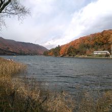 公園からの眺めです。紅葉が綺麗です。