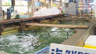 伊勢海老やさざえ・鮮魚なども