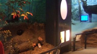 甲賀の里山を楽しみ、勉強にもなる自然公園