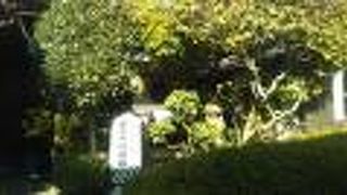 いろいろな展示物