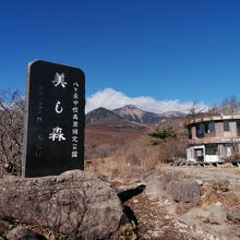 美しの森展望台売店 山の上