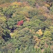 秋田県と青森県にまたがる世界遺産の森