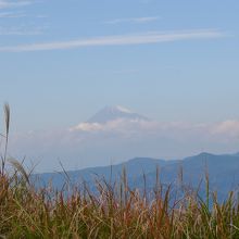 大室山から見た富士山