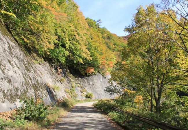 白神山地を走る長い長い砂利道です。