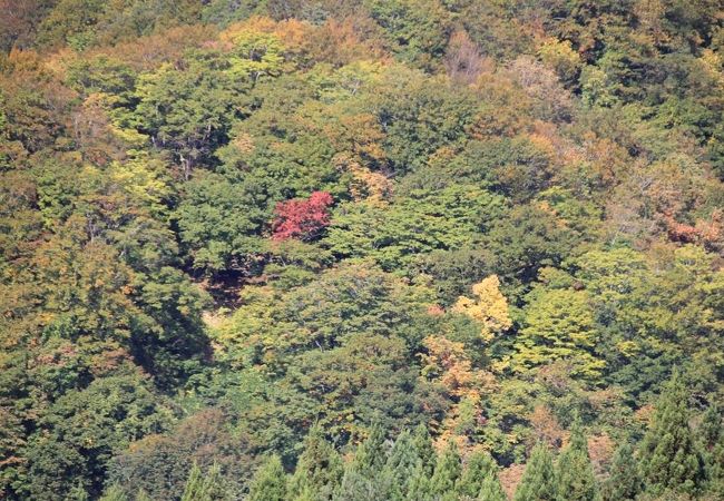 白神山地 (秋田県)