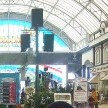 暑さに負けずアドベンチャー。