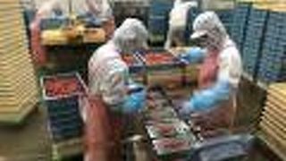 かねふく社の明太子工場に併設されている商業施設