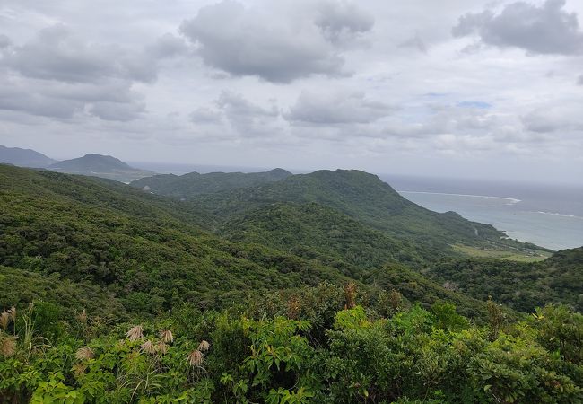 山を登らずとも自動車で絶景を