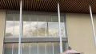 近代的な本堂にびっくり