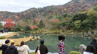 曹源池庭園　さすがです