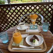 マンゴーカフェ