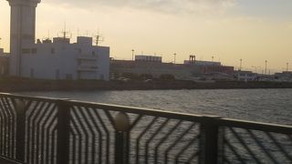 意外と海面に近い