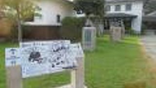 知は海より来たる