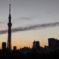 ロビーのテラスからの眺望