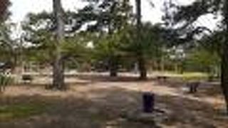 立ち寄りスポットが比較的多いです