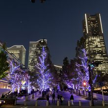 ランドマークタワー