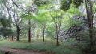 松阪城跡一体です