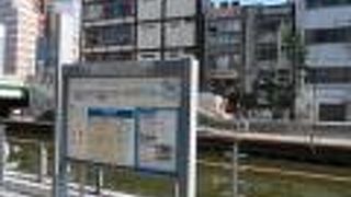 散策が楽しいです