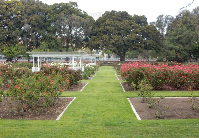 ロサンゼルス五輪スタジアムやサイエンスセンターもある大きな公園