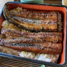 養殖（上）と天然（下）を比べたら、、