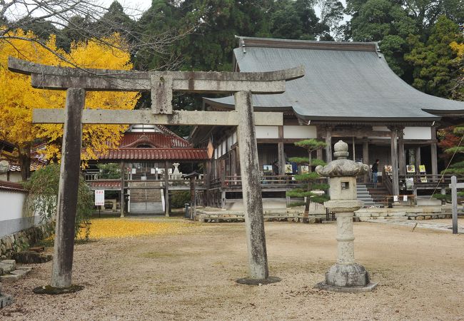 ふるさと村の中核