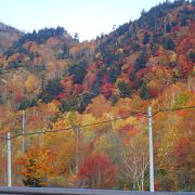 期待していた紅葉は霧の中