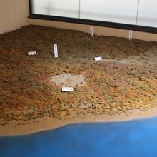 当時に村のジオラマ　ここまで海だったようです