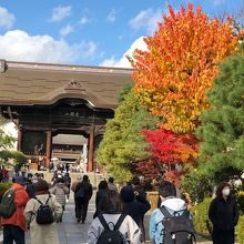 紅葉が映える善光寺仁王門