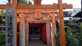 鳥居が連なって伏見稲荷のミニ版みたい