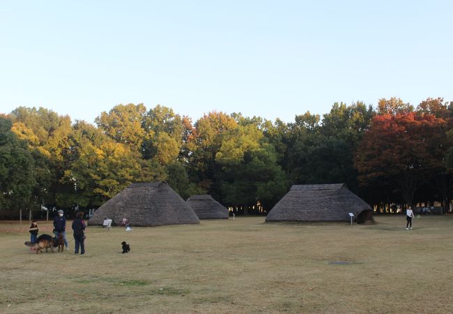 縄文時代の遺跡、貝塚の上に作られた公園です