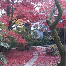 最初の写真の反対側から撮った写真です。紅葉が鮮やか