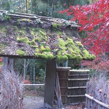 苔むした藁葺が素敵です。