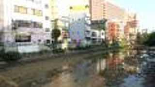 水量が少なくて田んぼみたいになってた